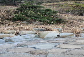 이기대 염주괴불주머니-체험인증샷